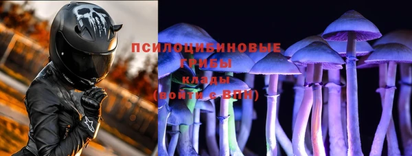 прущая мука Сатка