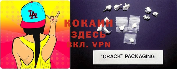 индика Сафоново