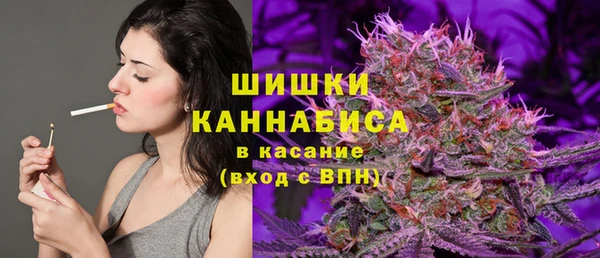 индика Сафоново