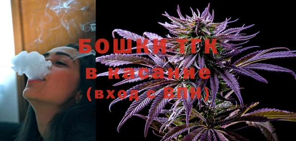 индика Сафоново