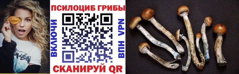 Галлюциногенные грибы мухоморы  где можно купить   blacksprut как войти  Россошь 