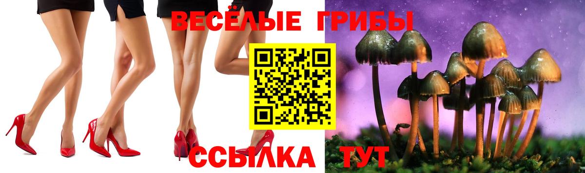 Псилоцибиновые грибы Magic Shrooms  Вход с VPN  Россошь  Псилоцибиновые грибы MAGIC MUSHROOMS 